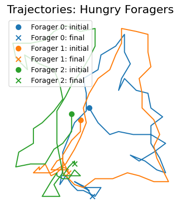 ../../_images/foraging_random-hungry-followers_hungry_foragers_8_0.png